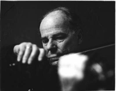 arnoldmatz_viola1_500x3001